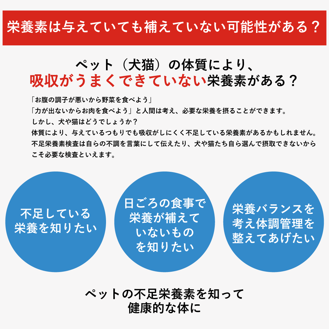 獣医師推奨 被毛でできる不足栄養素検査 犬猫用 フソクタス 不足 アレミッケ